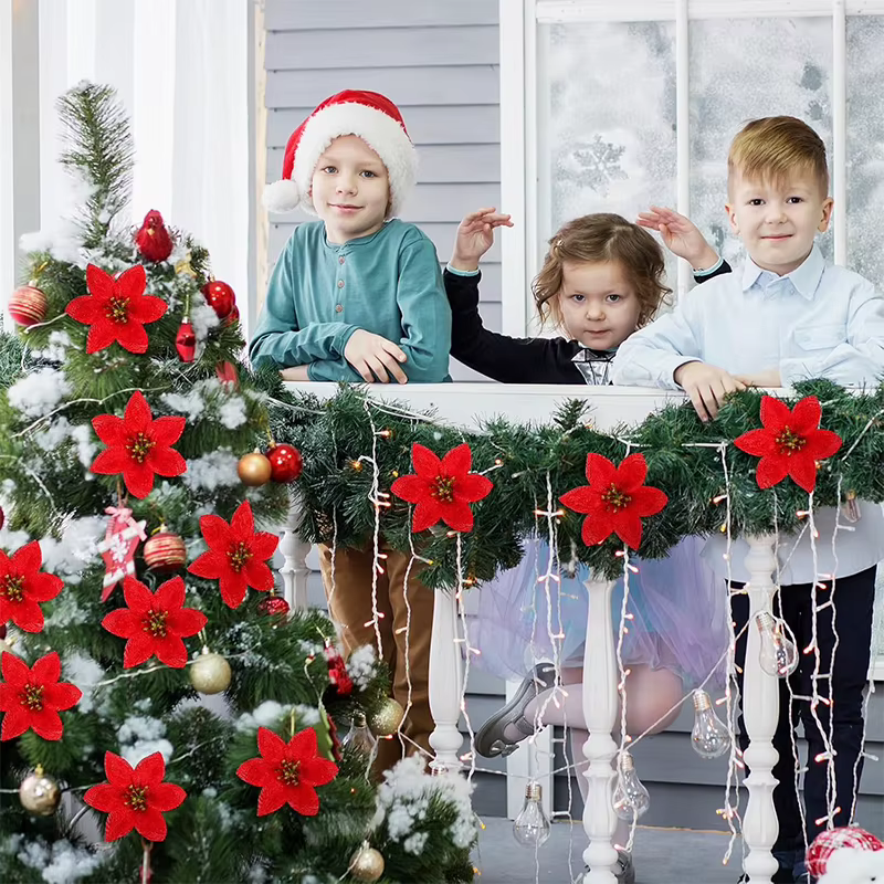 Bouquet de Fleurs Rouges pour Patients de Noël