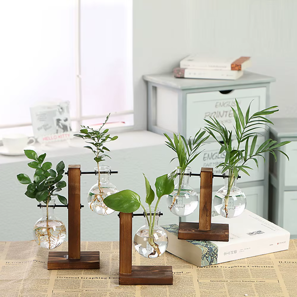 Vases à plantes, pots de fleurs