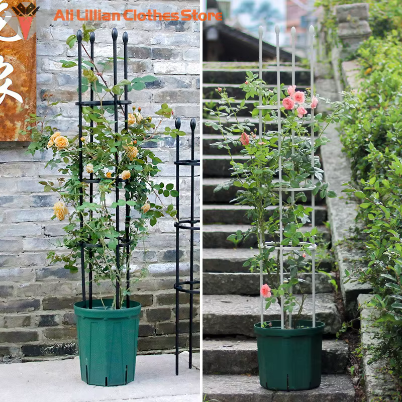 Cages de Support pour Plantes Grimpantes