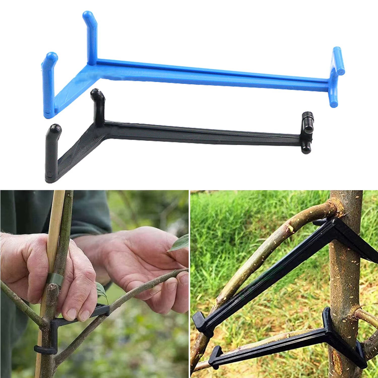 Extracteur de branches de plantes