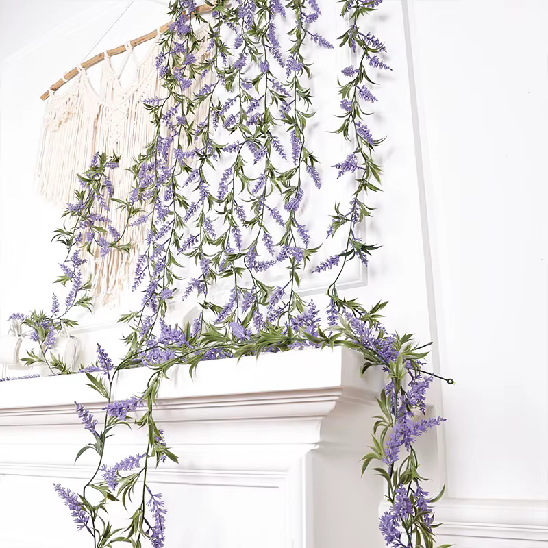 Plante de décoration pour la maison
