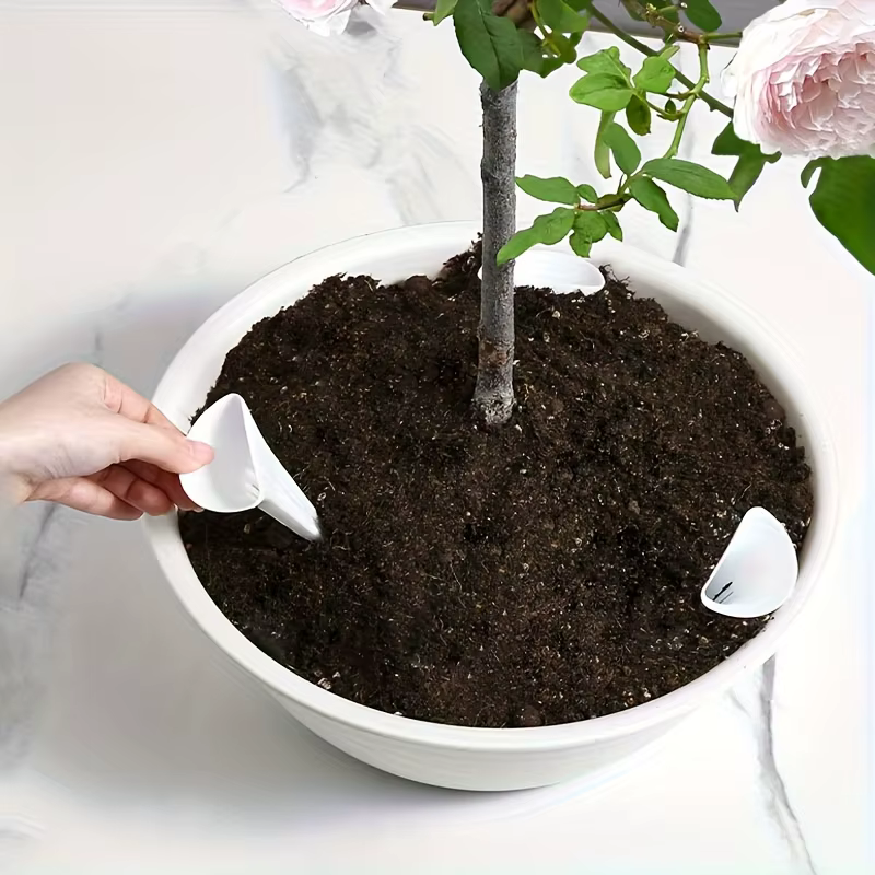 Dispositif d'arrosage respirant pour plantes coniques