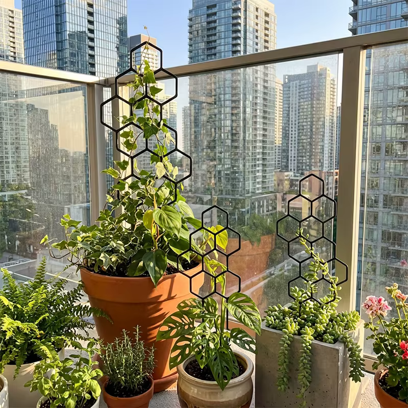 Support pour Plantes Grimpantes pour Balcon