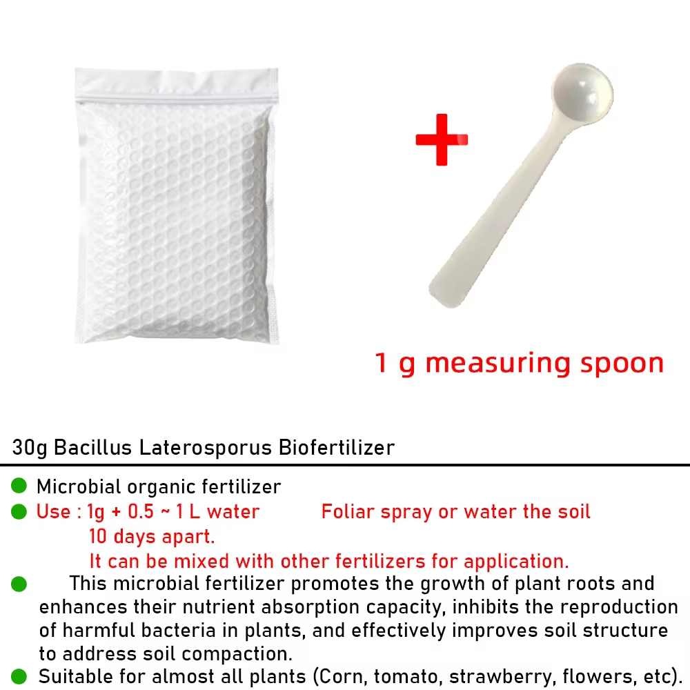 Engrais organique microbien Bacillus subtilis 30g