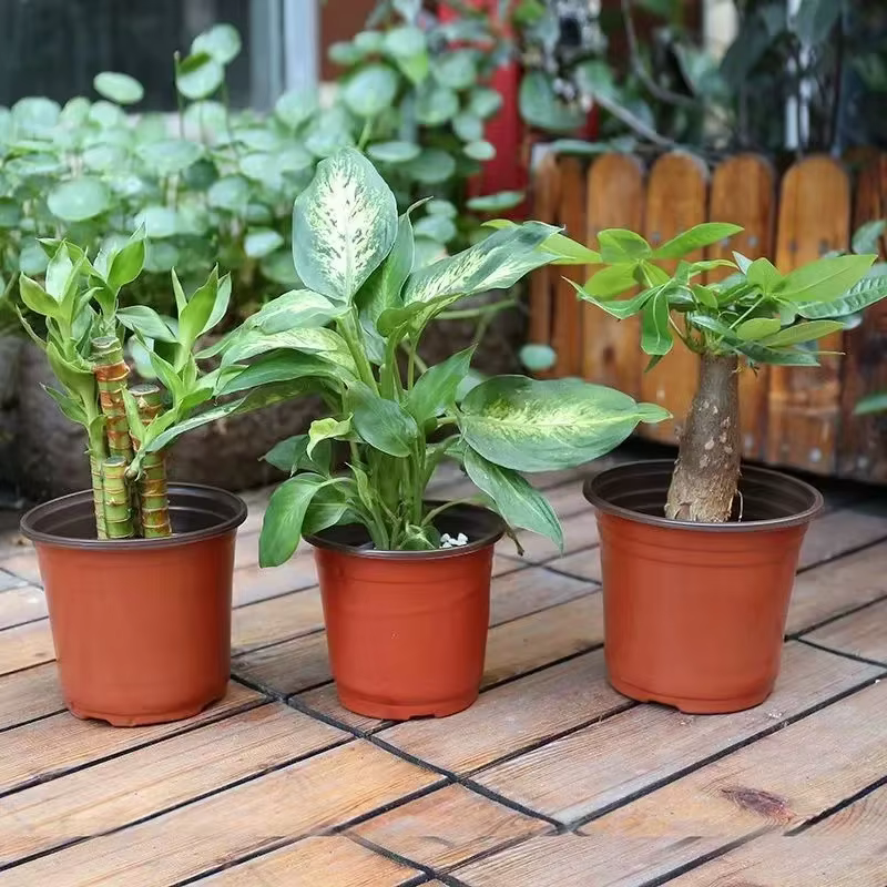 Pots de plantes en plastique avec étiquettes