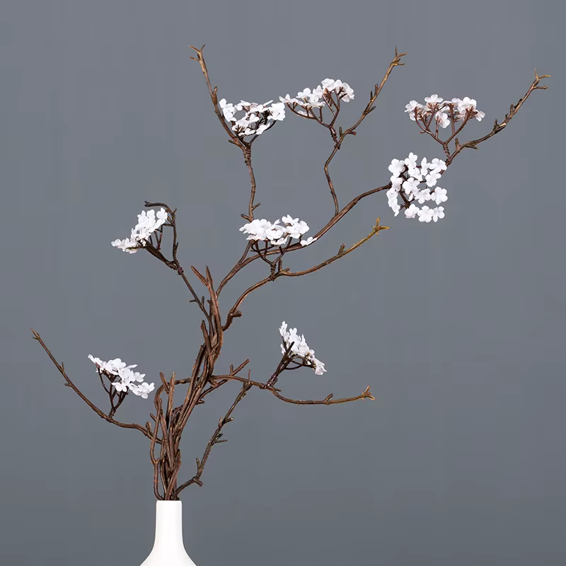 Branche de canne à fleurs de cerisier