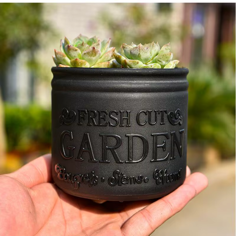 Pot de fleurs rond pour plantes succulentes