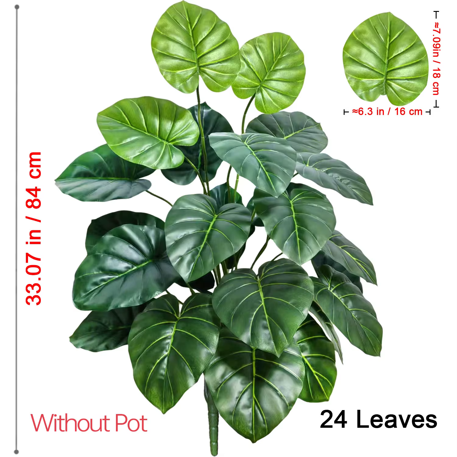 Plante Alocasia à grandes feuilles rondes de 60-105 cm