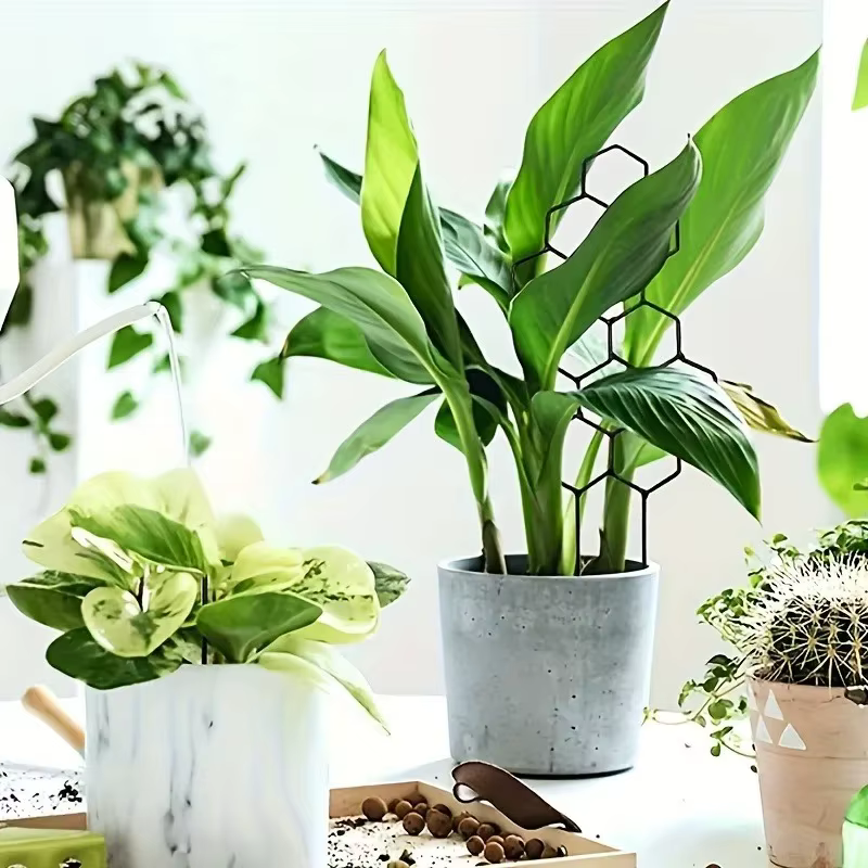 Support de plante en 3 parties