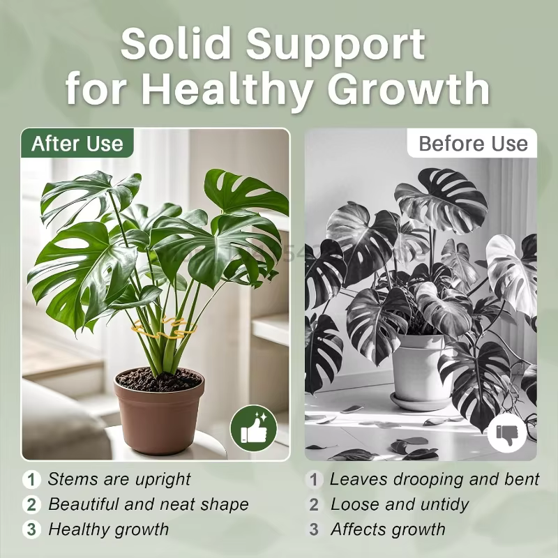 Supports de plantes réglables en métal pour tutorer les plantes