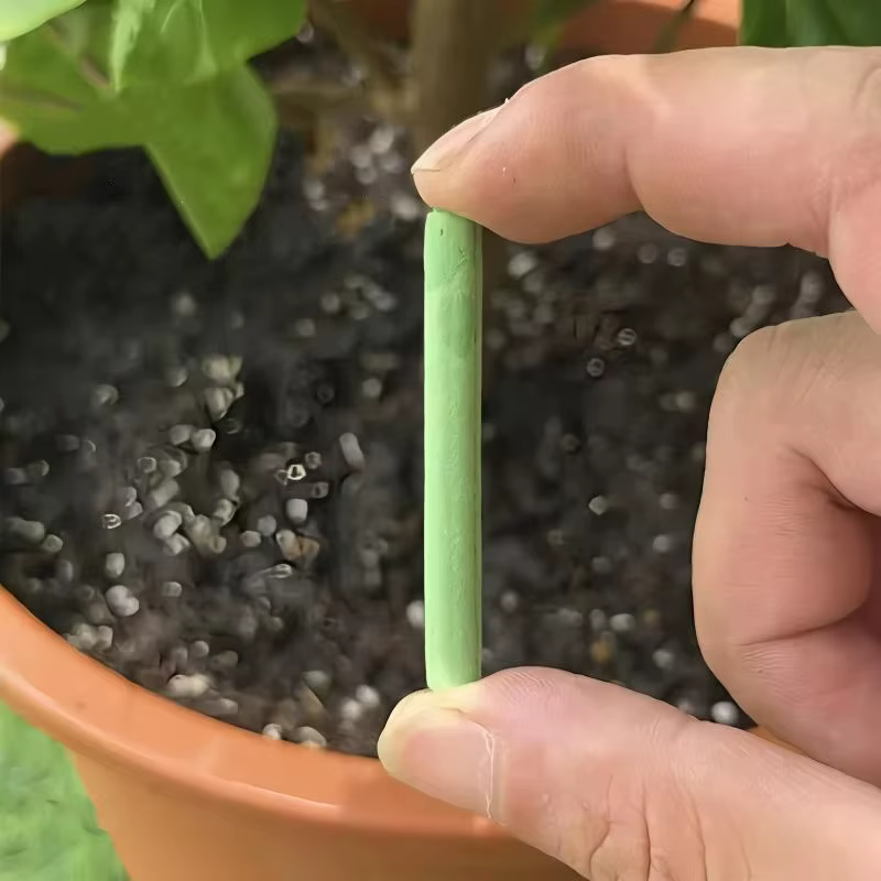 300/18 bâtonnets nutritifs pour plantes vertes
