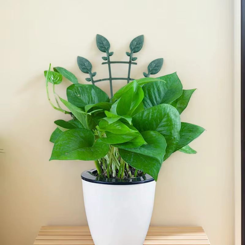 Treillis de plantes pour Pots 4X