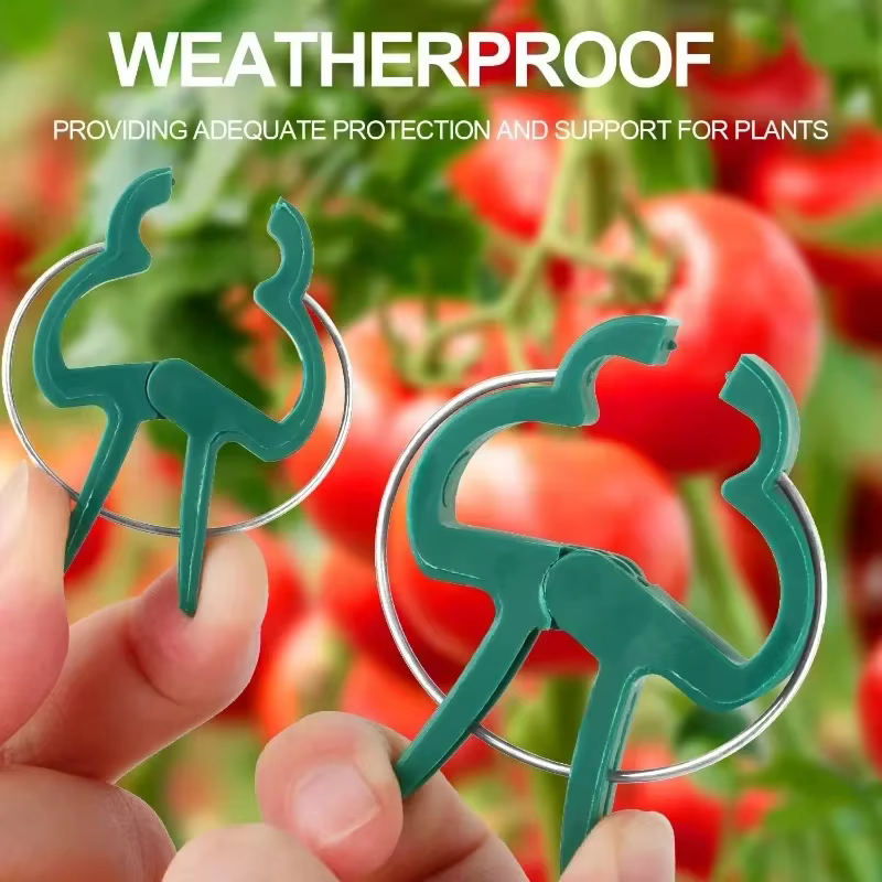 Clips fixes pour plantes réutilisables