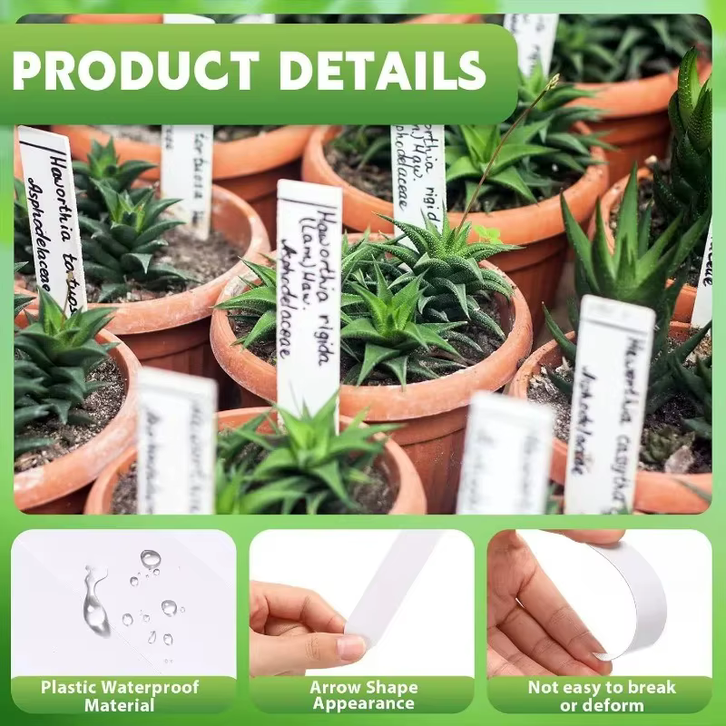 Étiquettes de plantes en plastique 100/300x