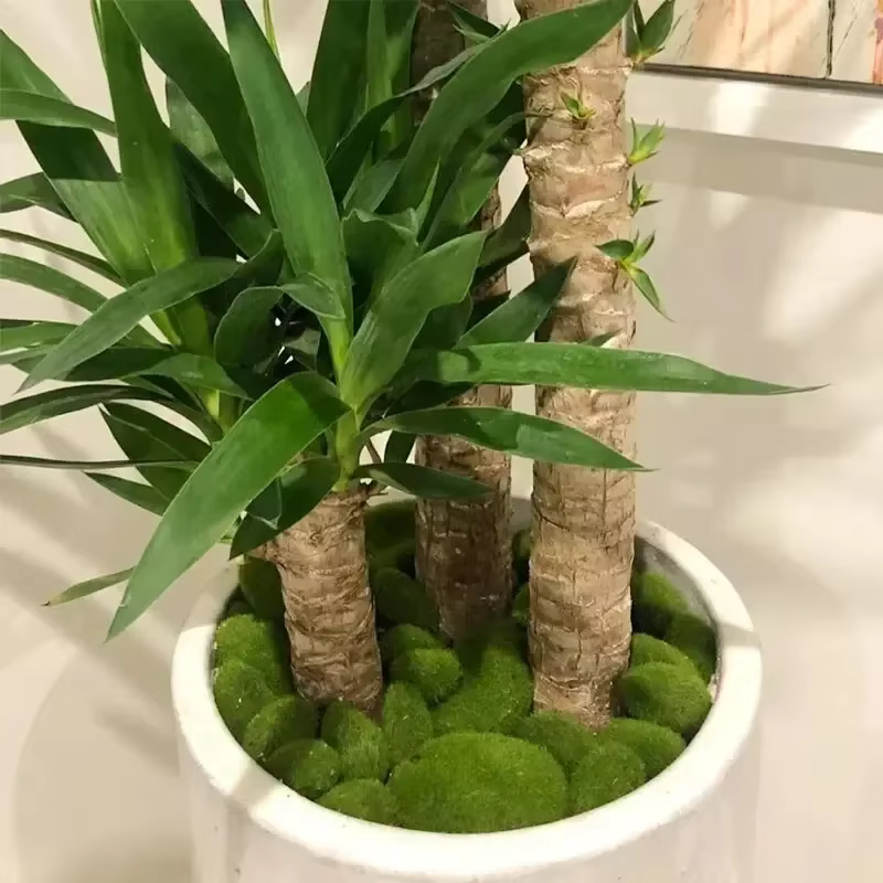 Mousse artificielle, décoration végétale