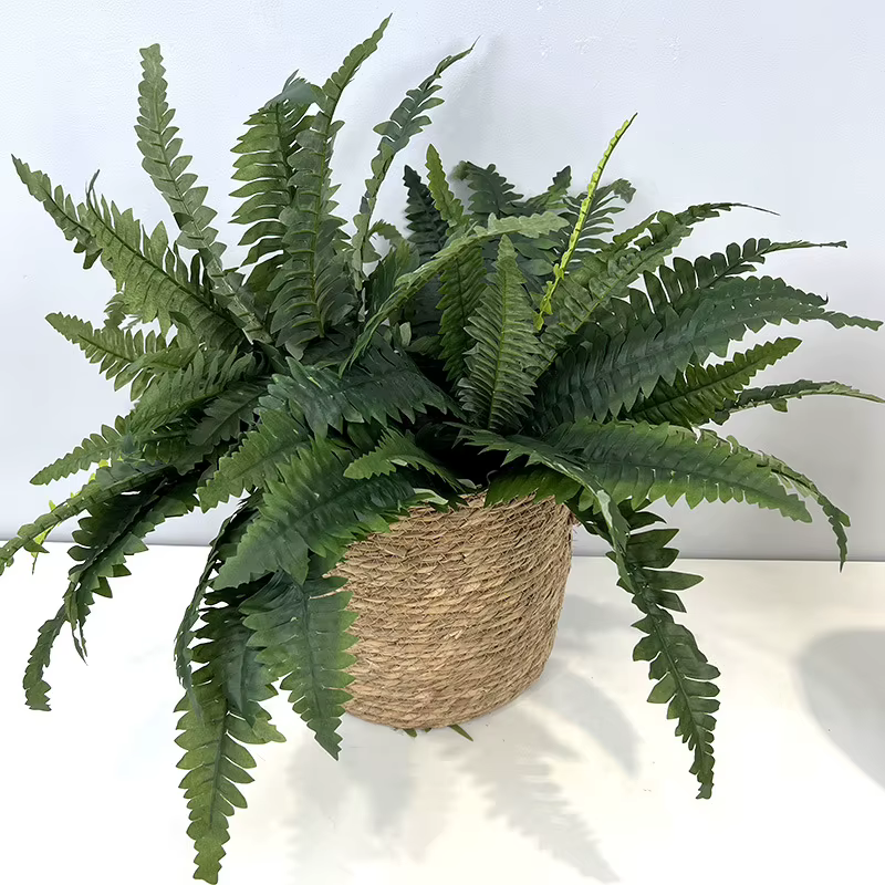 Plante de Fougère Artificielle Réaliste