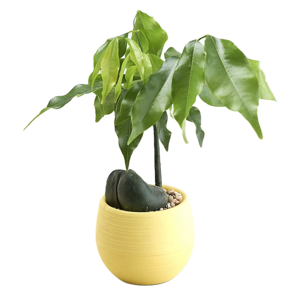 Mini pot de fleurs rond en plastique écologique