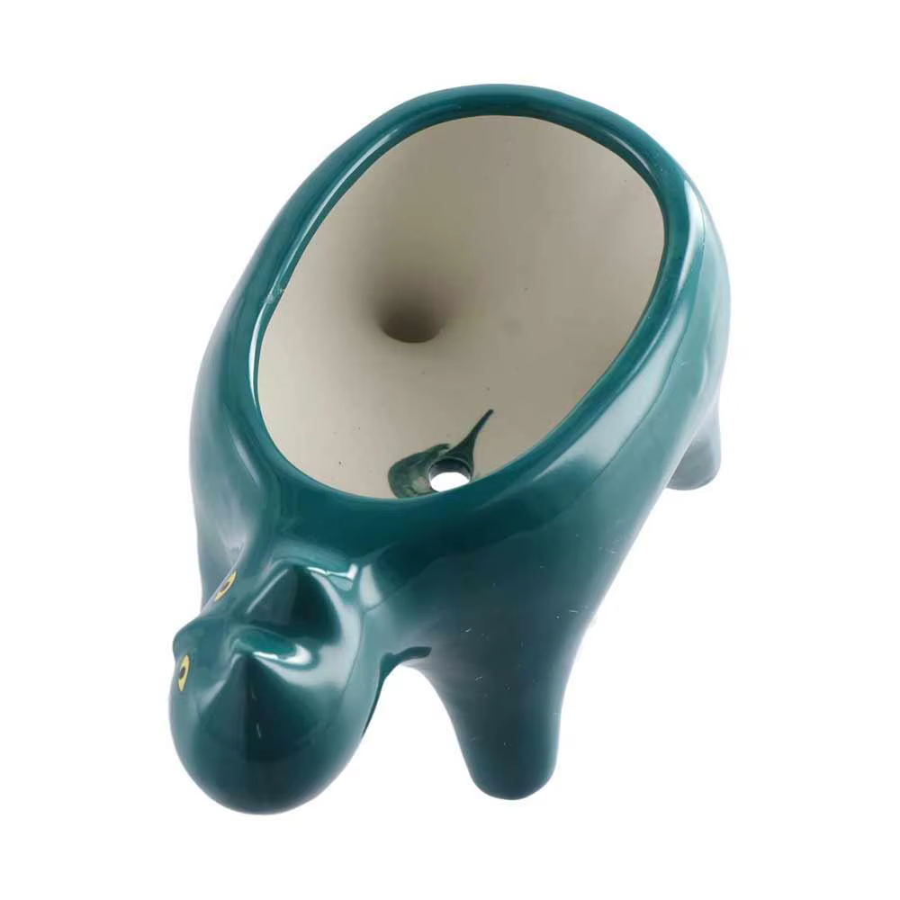Pot de balcon en Pot pour chat succulent