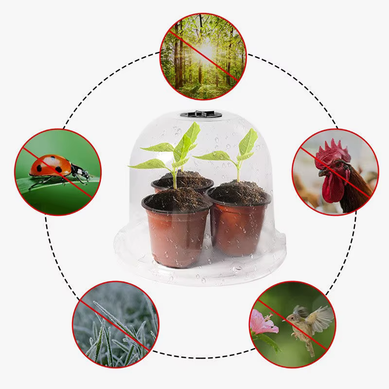 Dôme de protection contre l'humidité pour plantes en plastique réutilisable