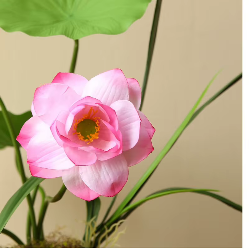 5 pièces de nouvelles branches de lotus roses chinoises