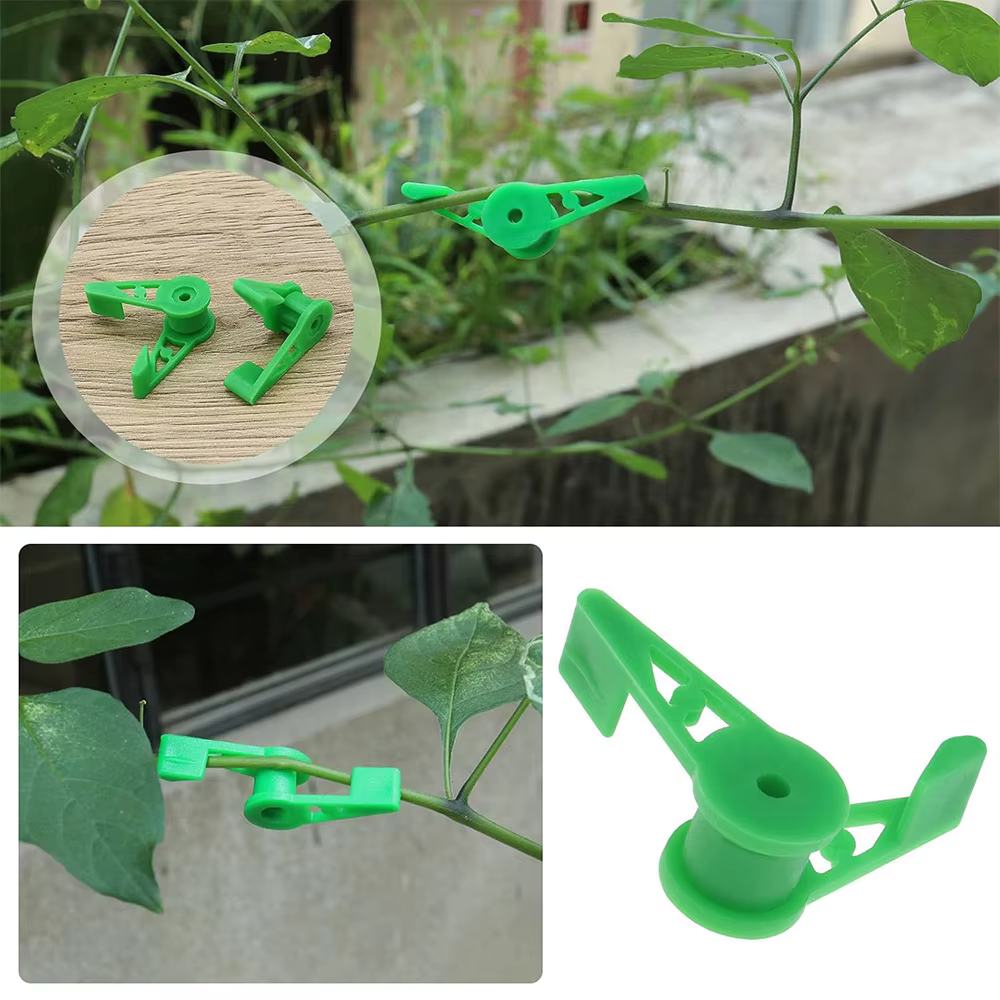 Clips d'entraînement pour cintreuse de Branches de plantes