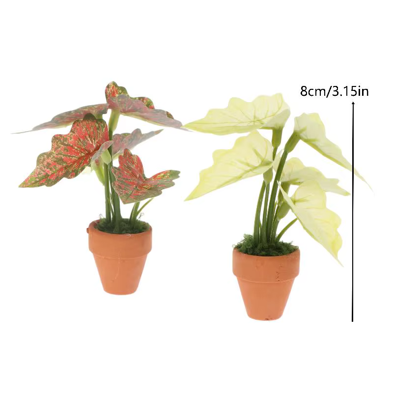 Miniature Plante en Pot Taro Vert Arrière-Plan Tortue