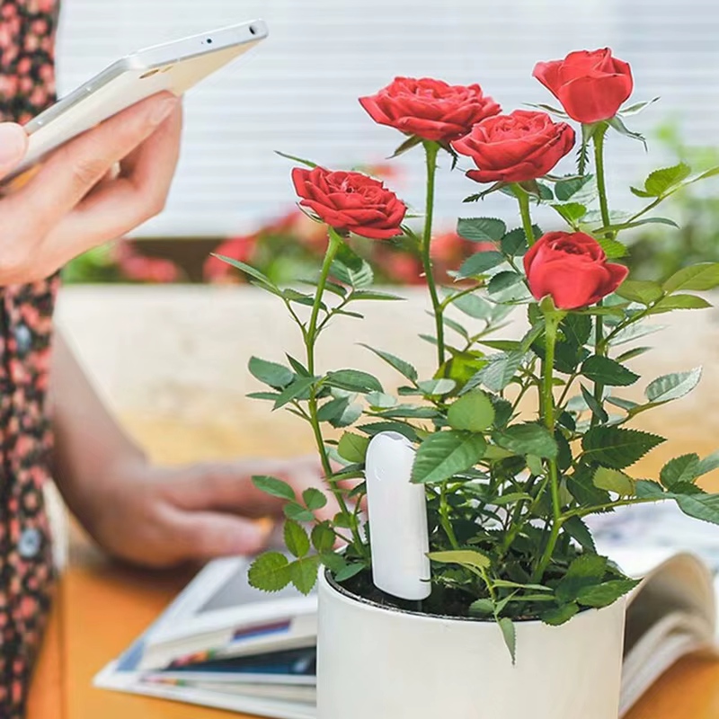 HHCC Flora Monitor Version mondiale fonctionne avec l'application Xiaomi Mijia plantes herbe soins des fleurs testeur d'eau du sol capteur détecteur moniteur