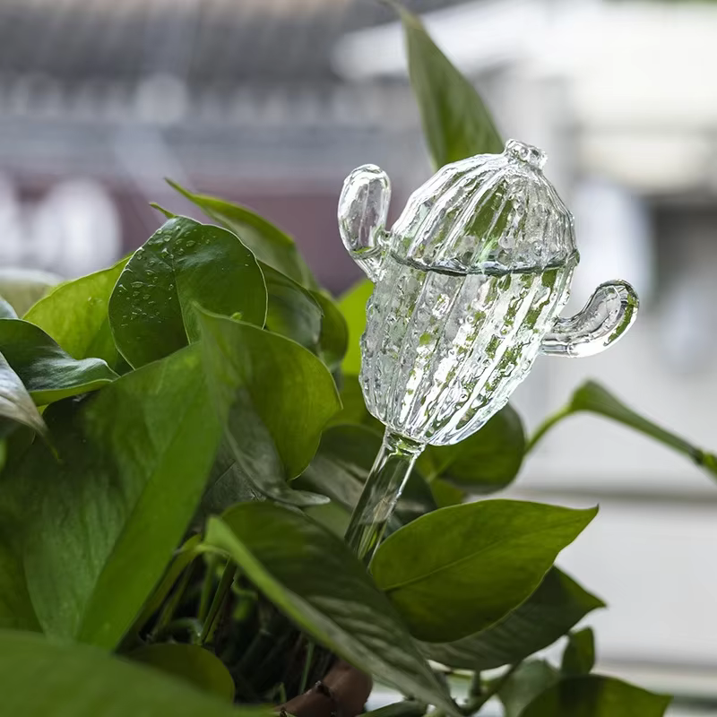 Distributeur d'eau pour plantes en verre