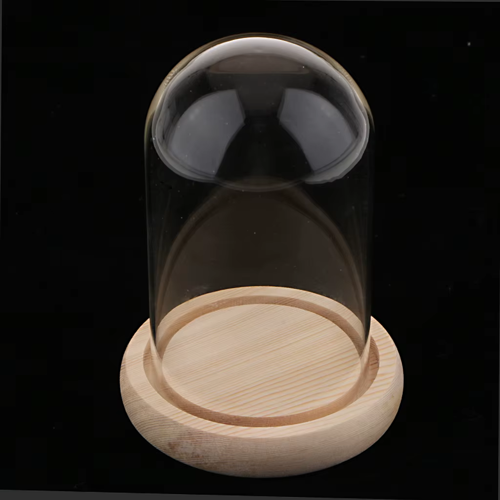 Pot en verre dôme avec Base en bois