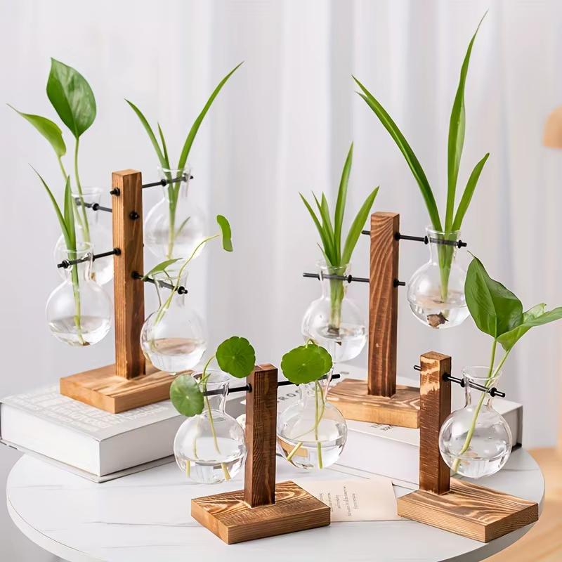 Vase en verre hydroponique
