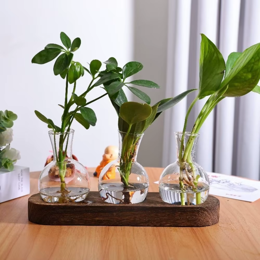 Vase en verre moderne, terrarium avec plateau en bois