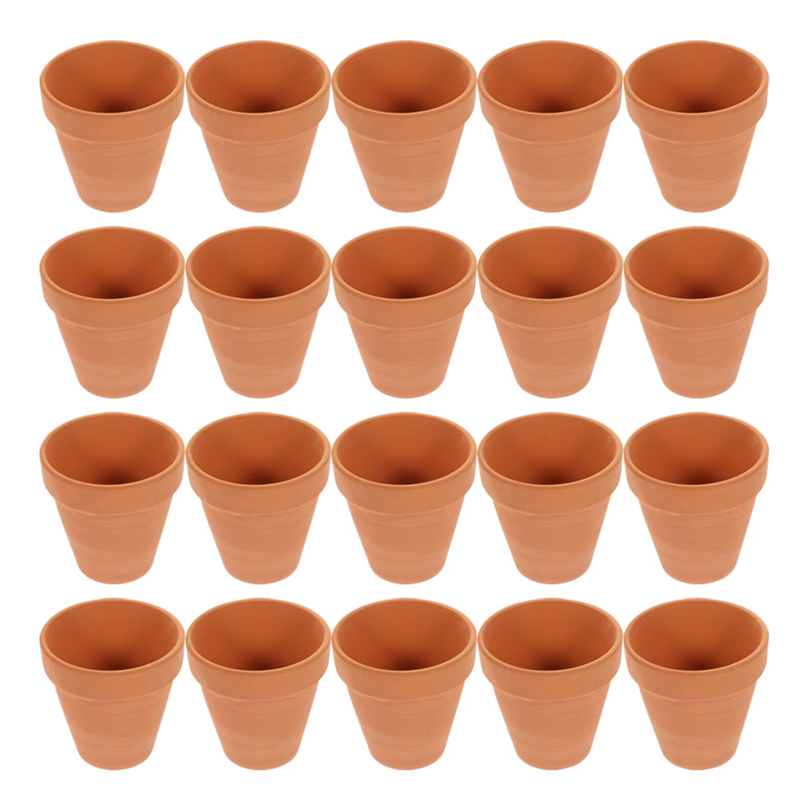 Pot de fleurs succulentes