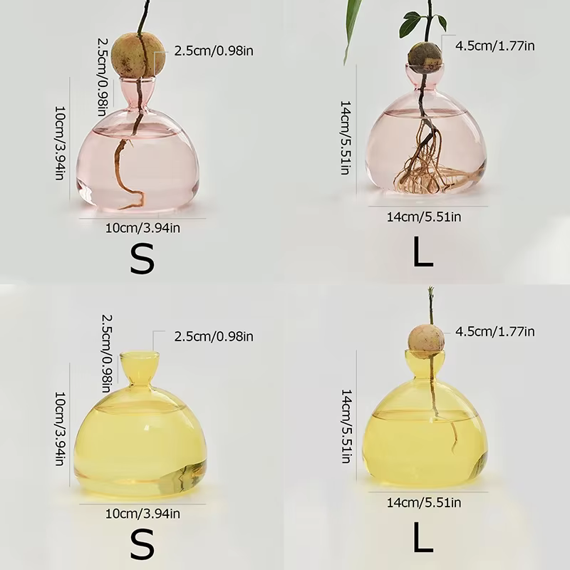 Vase hydroponique en verre Transparent