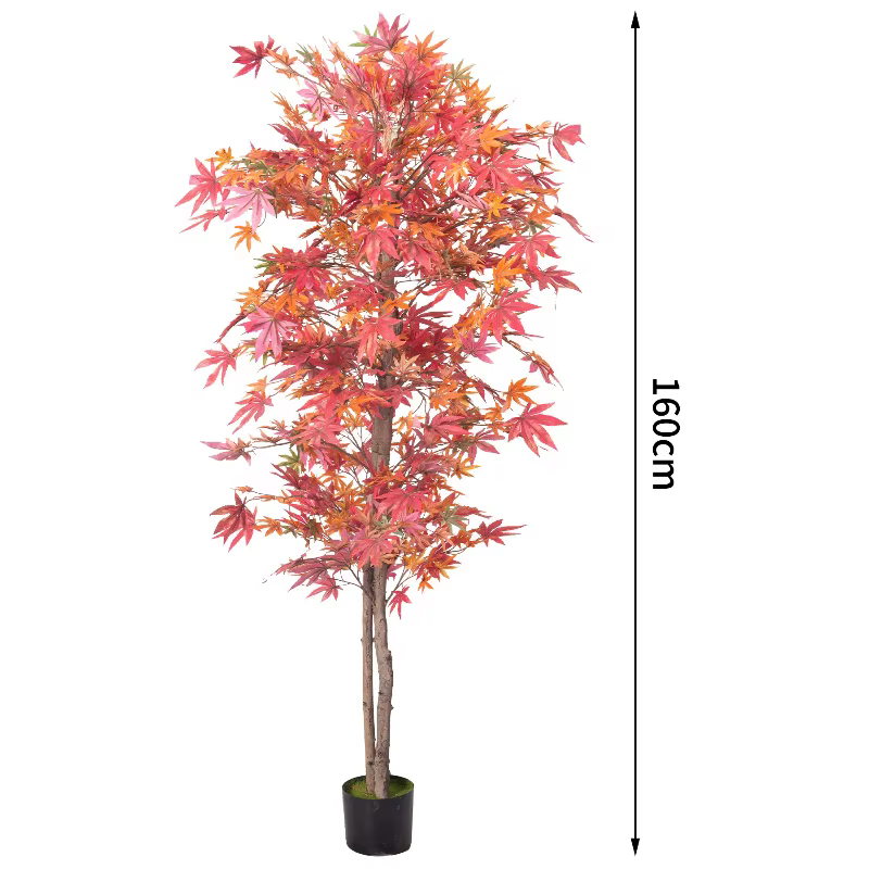 Simulation d'arbre d'érable rouge