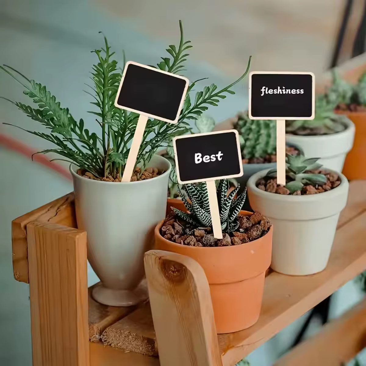 Étiquettes de plantes rustiques en bois, panneaux de jardin en forme de T, tableau noir, support au sol, 10 pièces