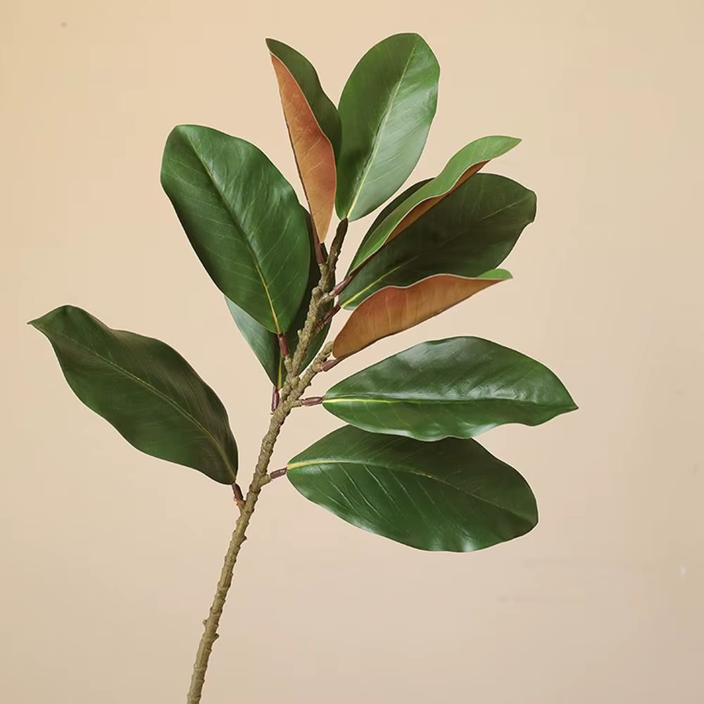 Branches de feuilles de magnolia artificielles de 57 cm, toucher réaliste, plante de magnolia artificielle, art floral, plantes vertes simulées faites à la main