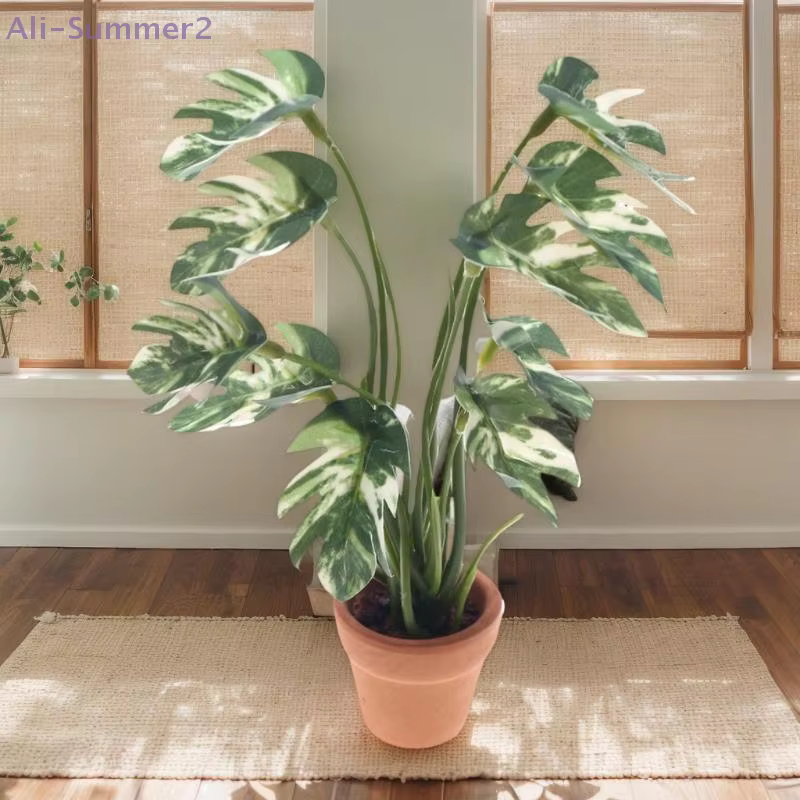 Plante Monstera Miniature délicate pour maison de poupée 1/12