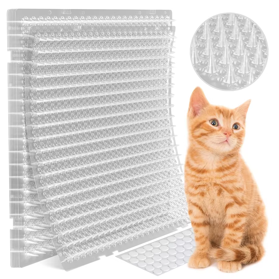 Répulsif pour chats, accessoires pour plantes