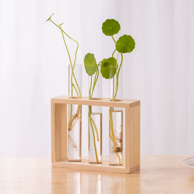 Conteneur de plantes hydroponiques avec cadre en bois