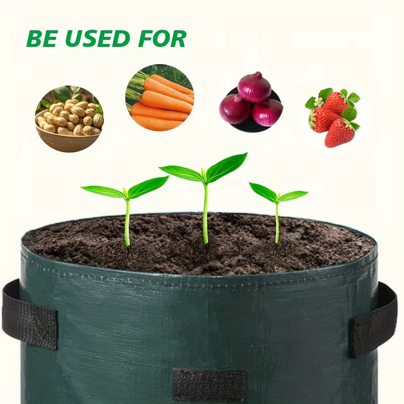Sacs de culture pour plantes vertes