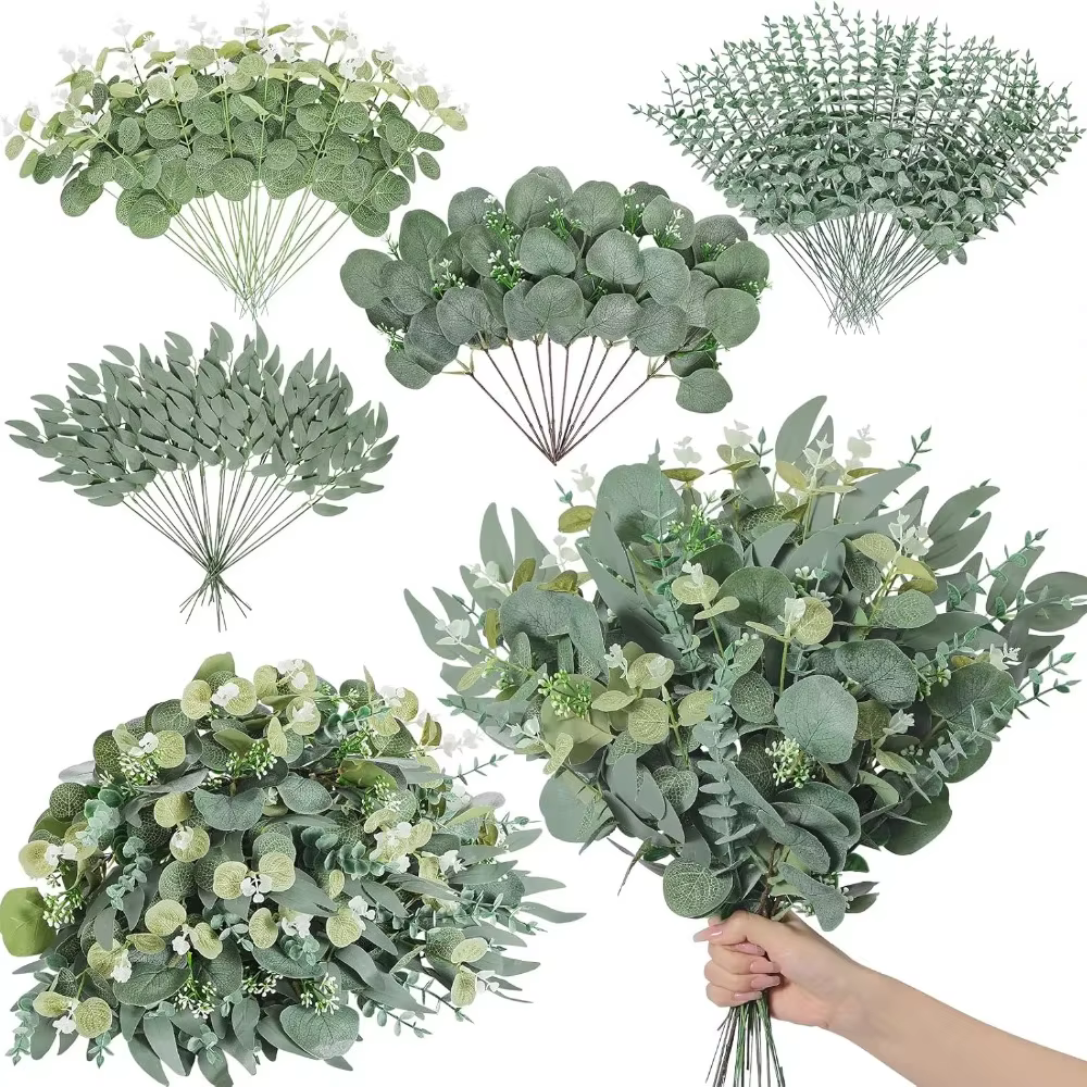 Tiges de feuilles d'eucalyptus
