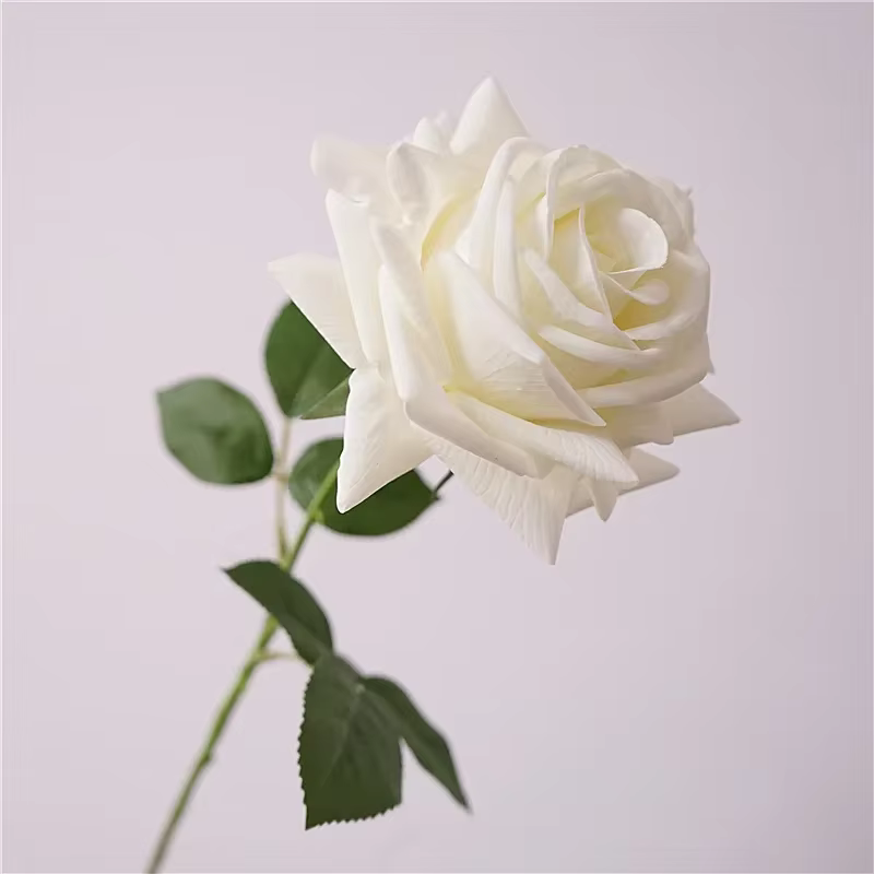 5 pièces sensation hydratante vraie touche Rose fleur fleurs artificielles décor de Mariage