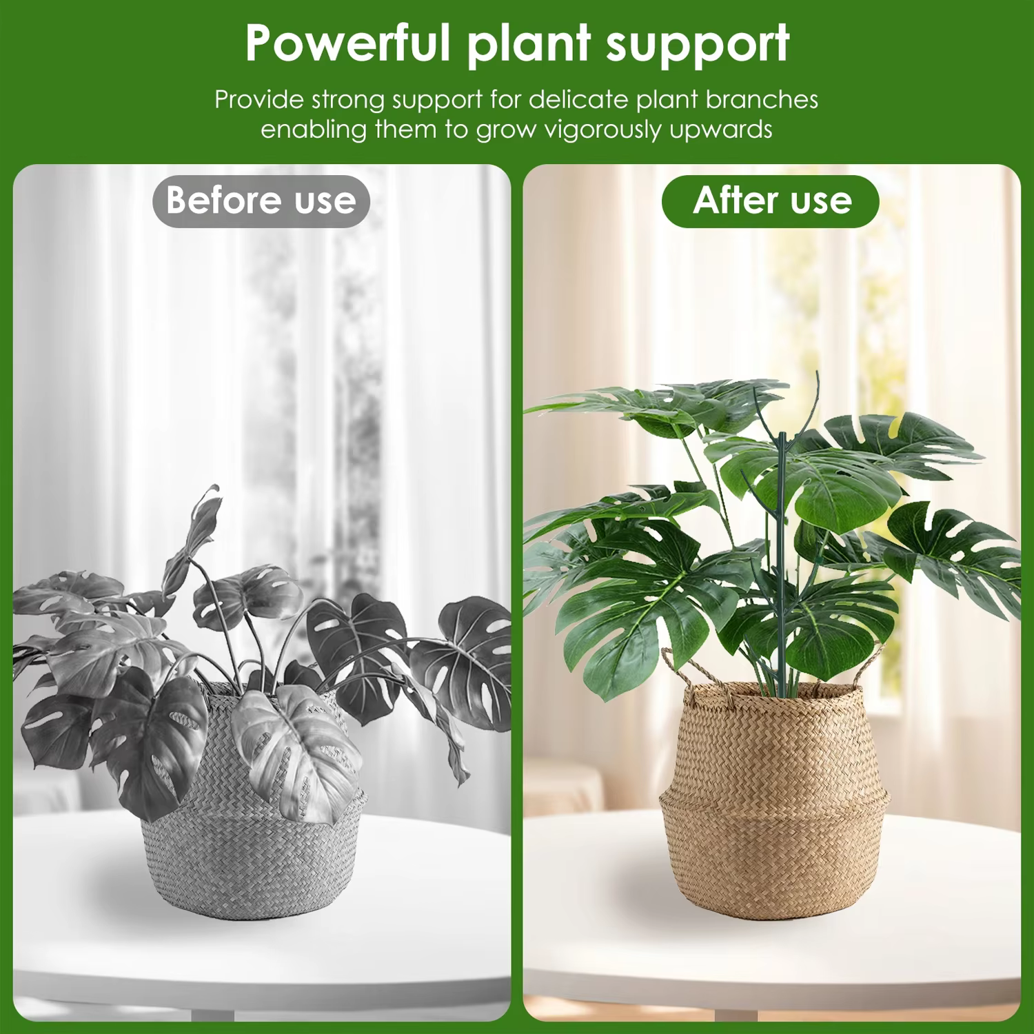 Supports de plantes en plastique