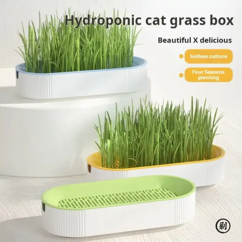 Boîte d'herbe hydroponique pour chat