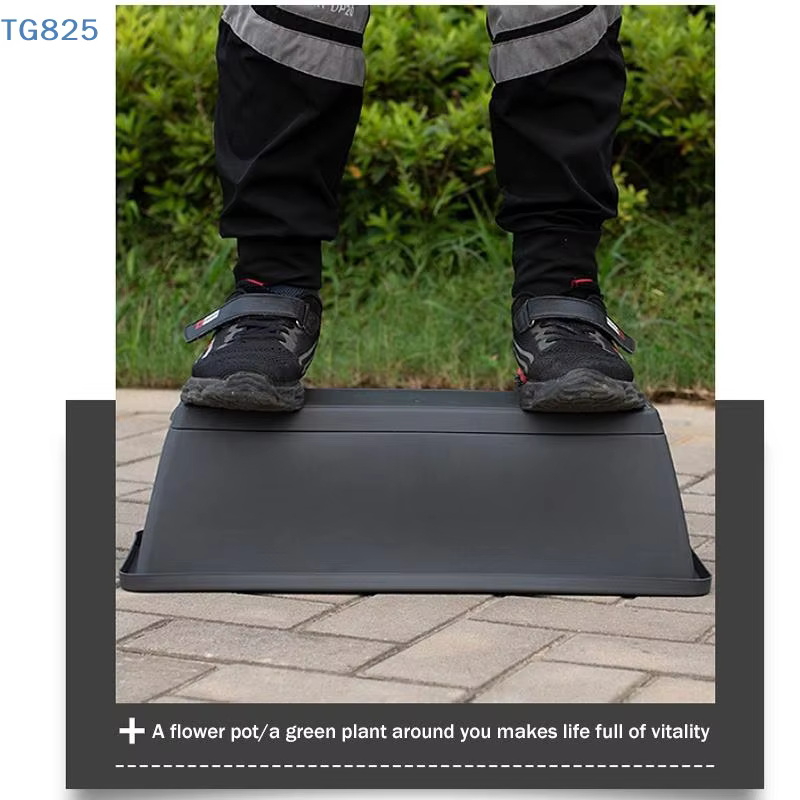 Pot de fleurs auto-absorbant pour culture de légumes d'intérieur avec trou de drainage et corde absorbante
