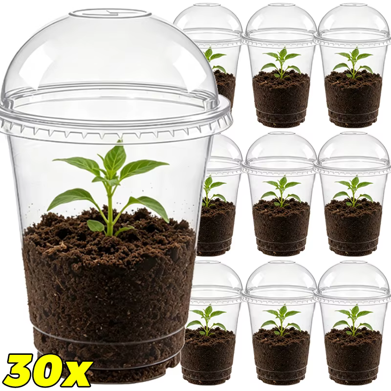 Pot de culture transparent avec couvercle