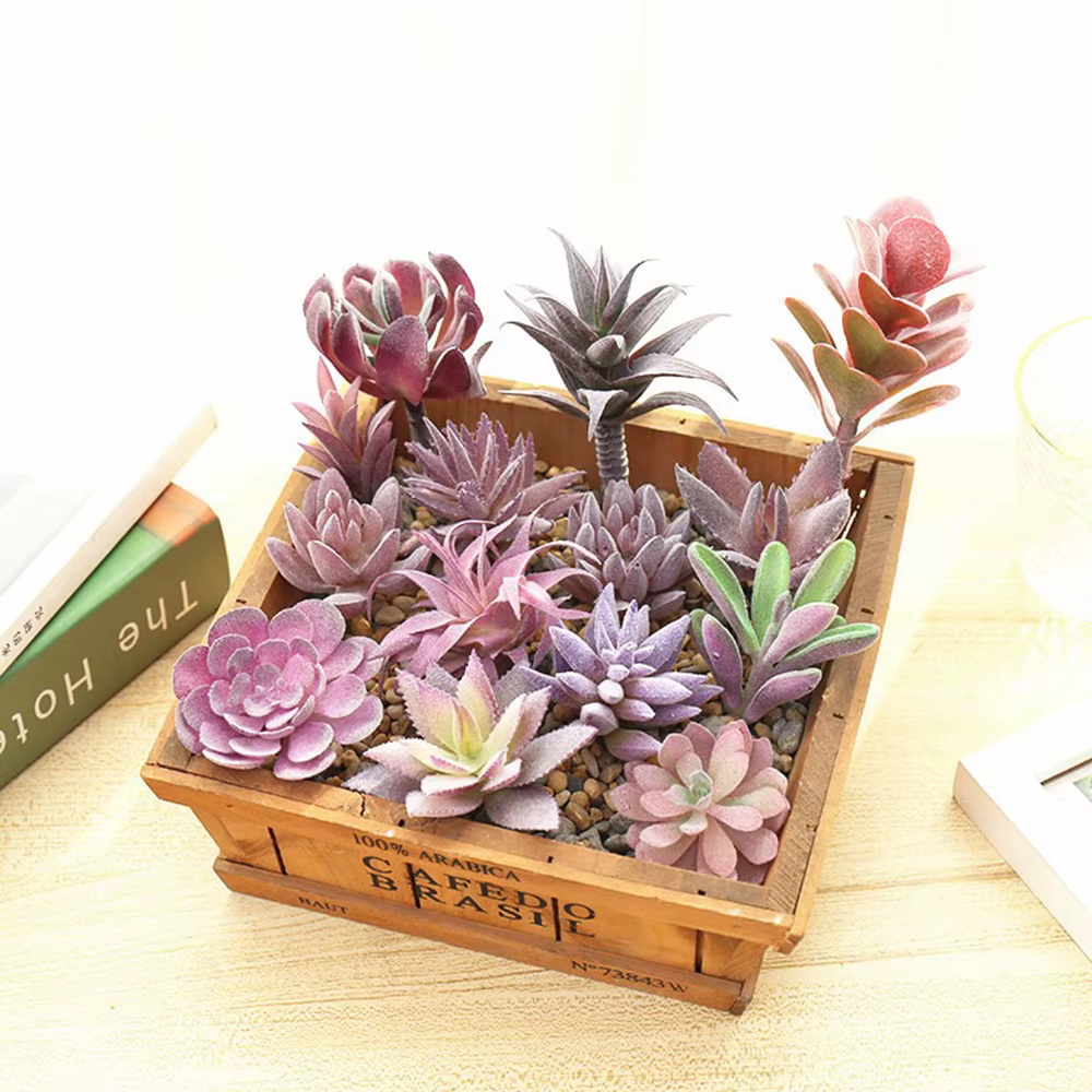 Tête de fleur succulente