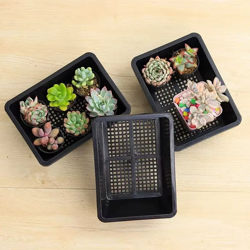 Plateau de semis réutilisable pour plantes succulentes