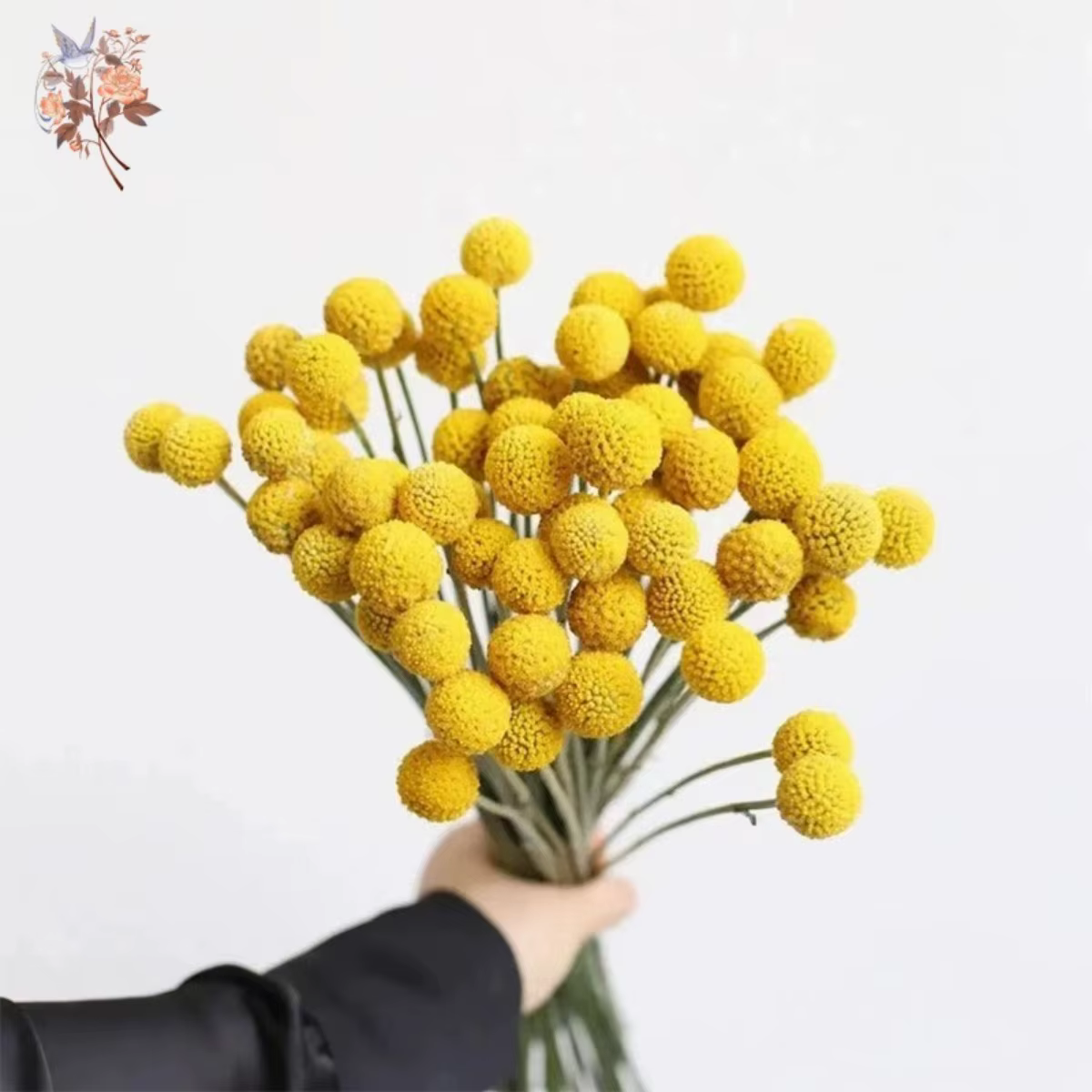Boules dorées jaunes séchées naturelles