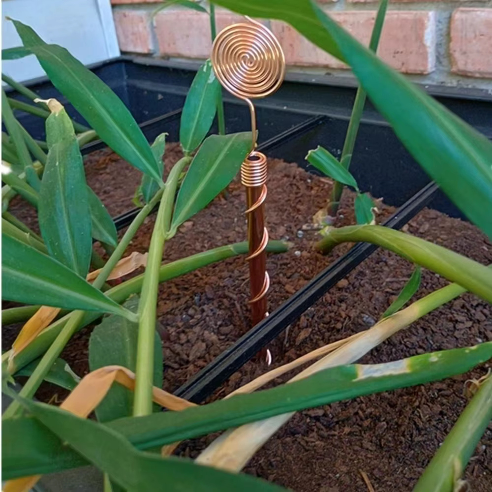 Piquets de jardin en spirale pour électroculture